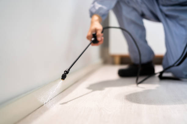 Licensed Pest Control service in Apple Mountain Lake, VA - Show Me Pest Control