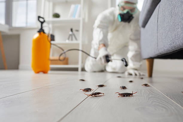 Commercial Kitchen Cockroach Control in Apple Mountain Lake